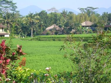 Maison de vacances �/en/au Ubud (Bali)ou appartement ou maison de vacances