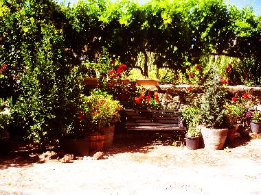 Villa /en/au Ollauri (La Rioja)ou appartement ou maison de vacances