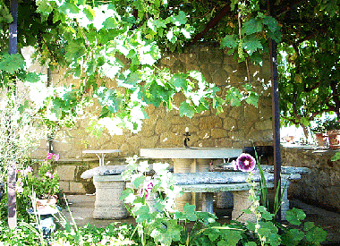 Villa /en/au Ollauri (La Rioja)ou appartement ou maison de vacances