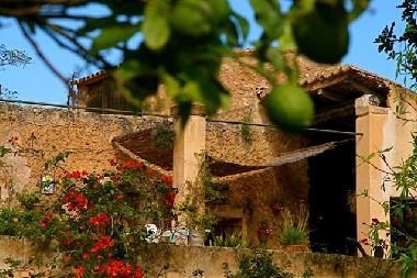 Maison de vacances �/en/au Arta (Mallorca)ou appartement ou maison de vacances