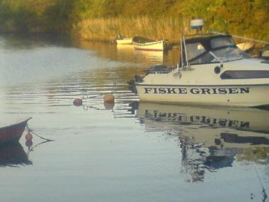 Chambre avec petit d�jeuner �/en/au Copenhagen (Kobenhavn)ou appartement ou maison de vacances