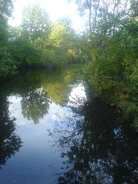 Chambre avec petit d�jeuner �/en/au Copenhagen (Kobenhavn)ou appartement ou maison de vacances