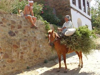 Maison de vacances /en/au selcuk Ephesus (Izmir)ou appartement ou maison de vacances