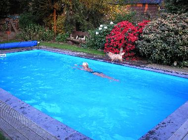 Appartement de vacances �/en/au Wellerlooi (Limburg)ou appartement ou maison de vacances