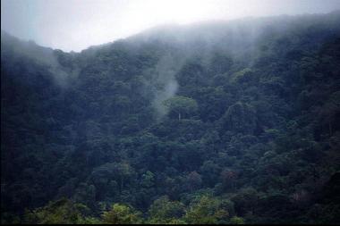 Maison de vacances �/en/au Englishman