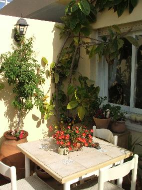 Appartement de vacances �/en/au Haifa (Hefa (Haifa))ou appartement ou maison de vacances