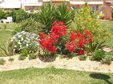 Appartement de vacances /en/au Rota (Cdiz)ou appartement ou maison de vacances