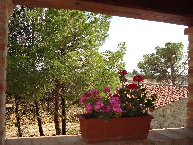 Appartement de vacances �/en/au Marciano della Chiana/Ar (Arezzo)ou appartement ou maison de vacances