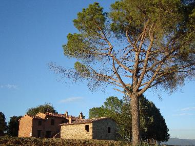 Appartement de vacances �/en/au Marciano della Chiana/Ar (Arezzo)ou appartement ou maison de vacances