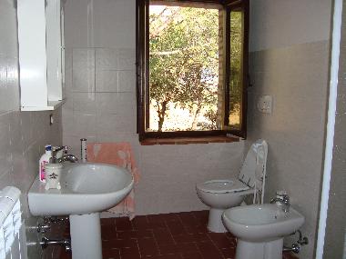 Appartement de vacances �/en/au Marciano della Chiana/Ar (Arezzo)ou appartement ou maison de vacances