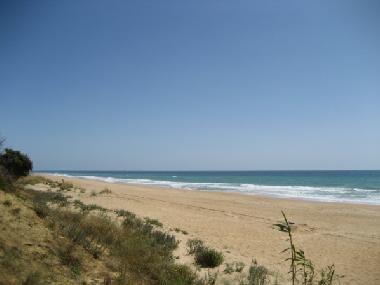 Maison de vacances /en/au Chiclana de la Frontera (Cdiz)ou appartement ou maison de vacances