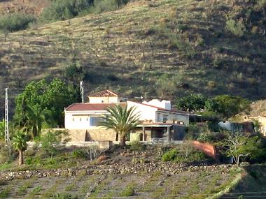 Appartement de vacances �/en/au Velez-Malaga (M�laga)ou appartement ou maison de vacances
