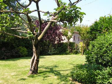 Appartement de vacances /en/au Franciacorta-Lago d