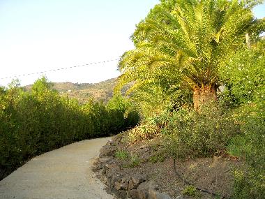 Appartement de vacances �/en/au Velez-Malaga (M�laga)ou appartement ou maison de vacances