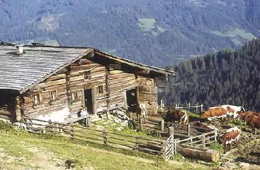 Maison de vacances �/en/au Kleinarl (Pinzgau-Pongau)ou appartement ou maison de vacances