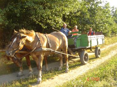 Maison de vacances �/en/au Vargesztes (Komarom-Esztergom)ou appartement ou maison de vacances