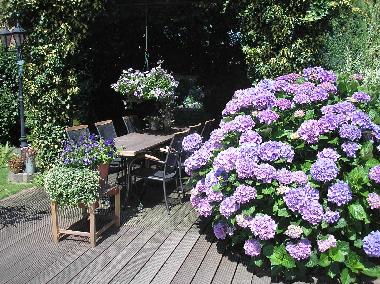 Appartement de vacances �/en/au Wellerlooi (Limburg)ou appartement ou maison de vacances