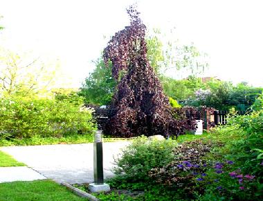 Maison de vacances /en/au Berlin (Pankow)ou appartement ou maison de vacances