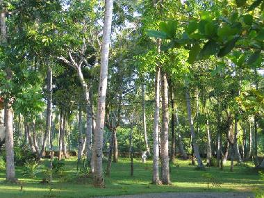 Maison de vacances �/en/au Galle (Galle)ou appartement ou maison de vacances