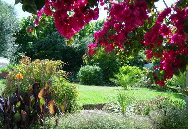 Maison de vacances /en/au Stellenbosch (Western Cape)ou appartement ou maison de vacances