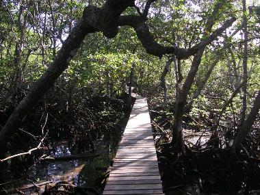 Maison de vacances �/en/au Santa Cruz Cabralia (Bahia)ou appartement ou maison de vacances