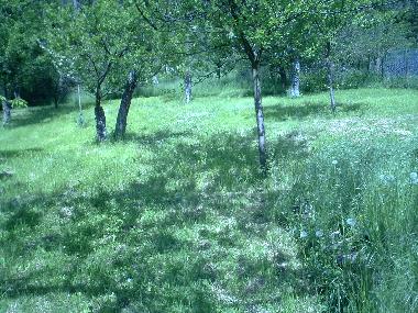 Maison de vacances /en/au Nuits Saint Georges - Concoeur (Cte-d