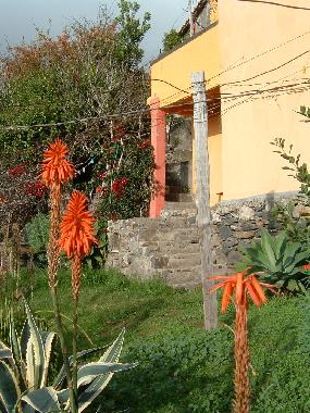 Maison de vacances /en/au calheta (Madeira)ou appartement ou maison de vacances