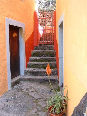 Maison de vacances /en/au calheta (Madeira)ou appartement ou maison de vacances