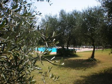 Appartement de vacances �/en/au Foiano della Chiana (Arezzo)ou appartement ou maison de vacances