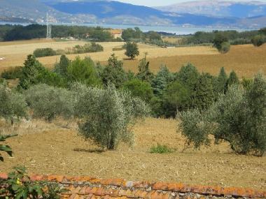 Maison de vacances �/en/au Pozzuolo (Perugia)ou appartement ou maison de vacances