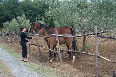 Maison de vacances �/en/au Pozzuolo (Perugia)ou appartement ou maison de vacances