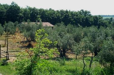 Appartement de vacances �/en/au pozzuolo (Perugia)ou appartement ou maison de vacances