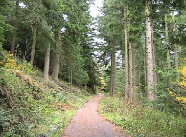 Appartement de vacances �/en/au Keswick (North West)ou appartement ou maison de vacances