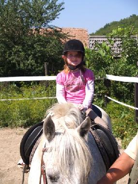 Maison de vacances �/en/au Cund / Reussdorf (Mures)ou appartement ou maison de vacances