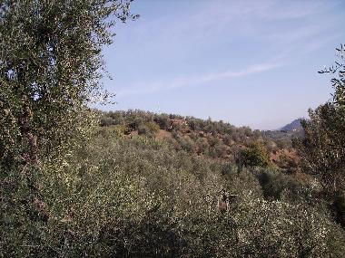 Maison de vacances /en/au Montecatini Terme (Pistoia)ou appartement ou maison de vacances