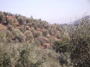 Maison de vacances /en/au Montecatini Terme (Pistoia)ou appartement ou maison de vacances