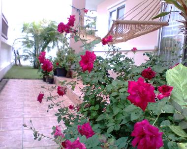 Maison de vacances �/en/au Pattaya (Chon Buri)ou appartement ou maison de vacances