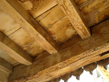 Maison de vacances /en/au Issor (Pyrnes-Atlantiques)ou appartement ou maison de vacances