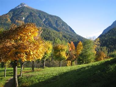 Appartement de vacances �/en/au Scuol (Scuol)ou appartement ou maison de vacances
