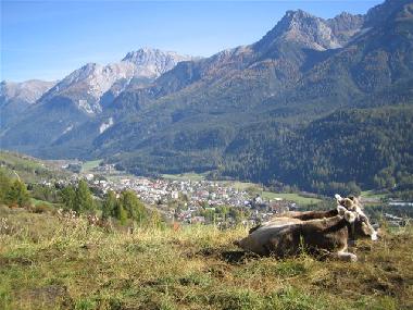 Appartement de vacances �/en/au Scuol (Scuol)ou appartement ou maison de vacances