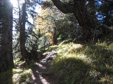 Appartement de vacances �/en/au Scuol (Scuol)ou appartement ou maison de vacances