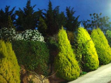 Maison de vacances /en/au Sayalonga (Mlaga)ou appartement ou maison de vacances