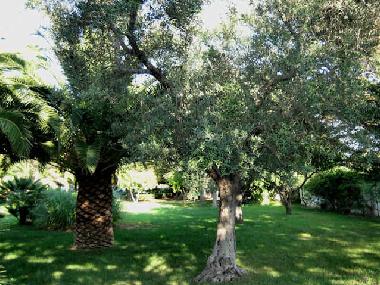 Maison de vacances /en/au Carovigno (Brindisi)ou appartement ou maison de vacances