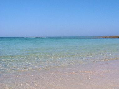 Maison de vacances /en/au Carovigno (Brindisi)ou appartement ou maison de vacances