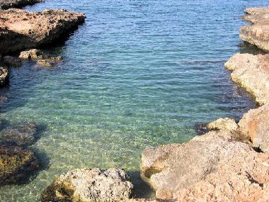 Maison de vacances /en/au Carovigno (Brindisi)ou appartement ou maison de vacances