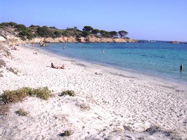 Plage d