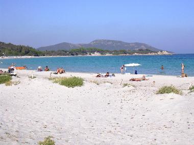 Plage de la Folaca à Palombaggia