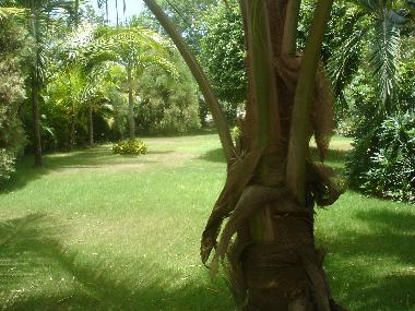 Appartement de vacances �/en/au Casa de Campo (La Romana)ou appartement ou maison de vacances