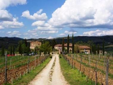 Chambre avec petit d�jeuner �/en/au Castellina in chianti (Siena)ou appartement ou maison de vacances