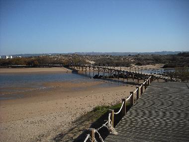 Appartement de vacances /en/au Sao Martinho do Porto (Oeste)ou appartement ou maison de vacances